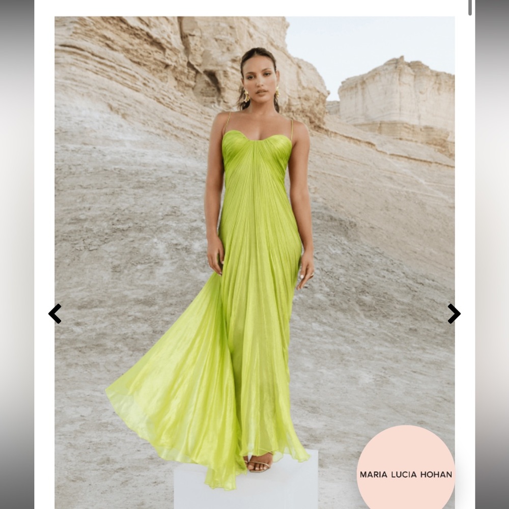 Maria Lucia Hohan Gown